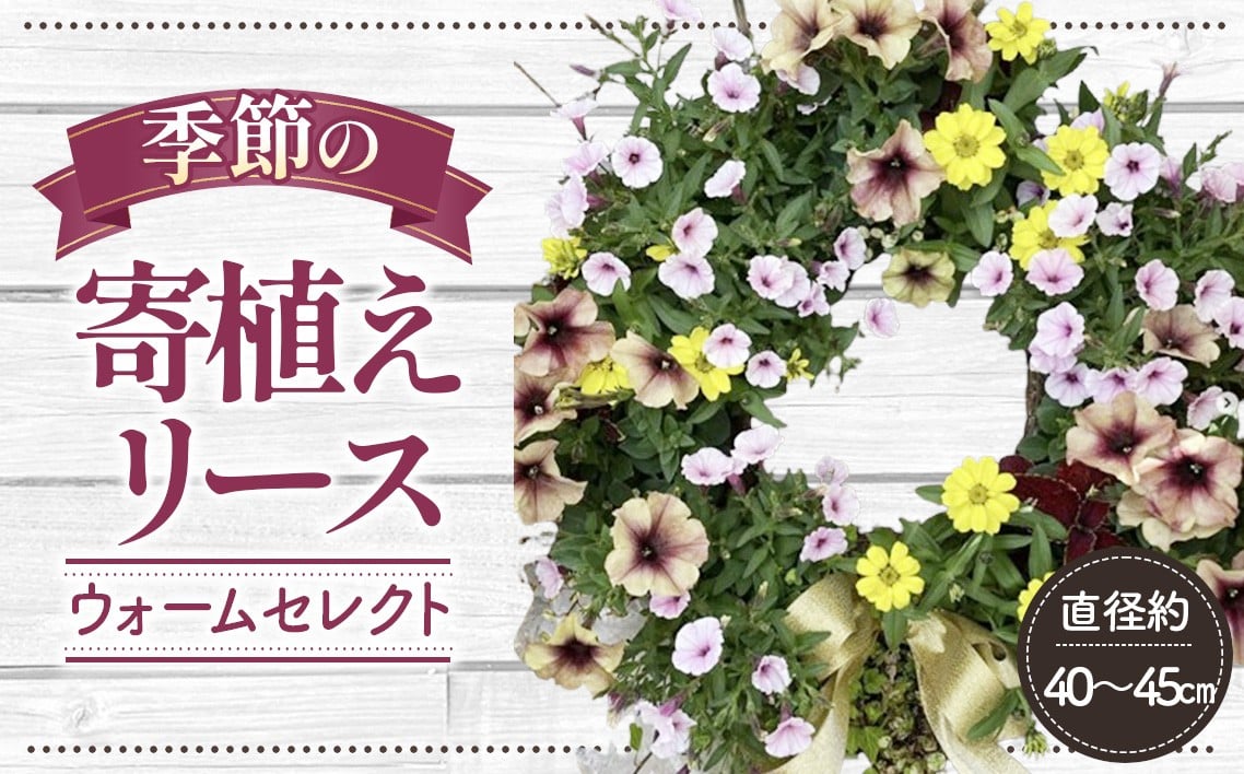 
No.147 【季節の寄植えリース】ウォームセレクト＊花工房すなが＊
