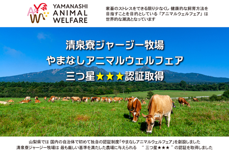 清里”清泉寮牧場”の有機ジャージー牛乳　1,000ml×2本