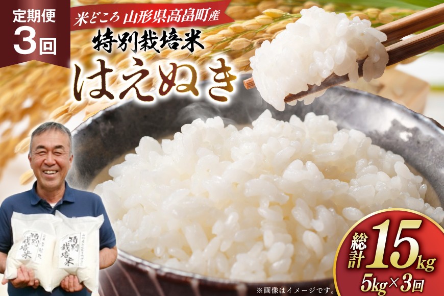 
                  米 定期便 3回 令和8年 はえぬき 5kg 3回 計15kg [渡部ファーム 山形県 高畠町 tk06ays810041] お米 白米 精米 ごはん ご飯 ブランド米
                