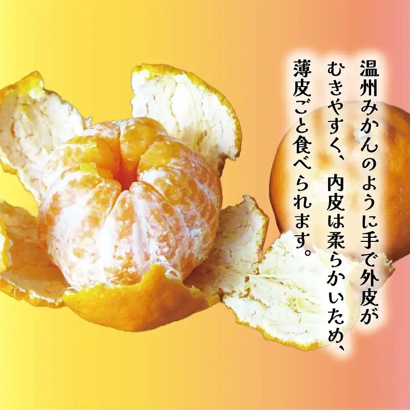 【先行予約】 【愛南産 ポンカン】冬の柑橘 ポンカン 3kg みかん 柑橘 ジューシー 愛媛 愛南 吉田農園