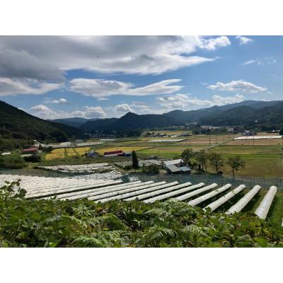 ふるさと納税 花巻市 「早池峰の恵み」モリタワイン カベルネ・ソーヴィニヨン2021 ダム貯蔵ワイン |  | 02