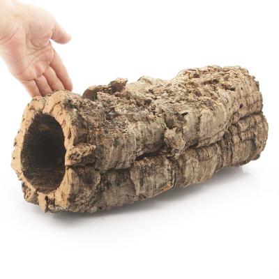 ふるさと納税 邑楽町 形状お任せ 筒型コルク Mサイズ 長さ30cm エアプランツ|09_chm-cl0101cb |  | 03