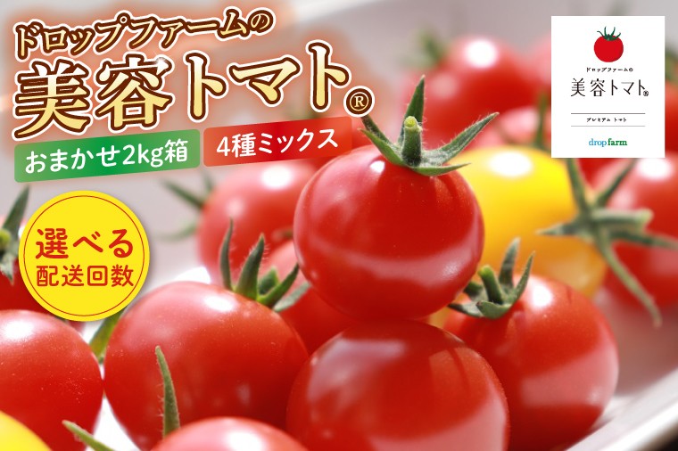 
                  【選べる定期回数】【11月より順次発送】ドロップファームの美容トマトおまかせ2kg箱(４種ミックス) 定期便 【とまと フルーツトマト 野菜ソムリエ 朝採れ アイコ イエローアイコ 小鈴 フルティカ 野菜 フレッシュ リコピン 大容量 茨城県 水戸市】（CK-17a）
                