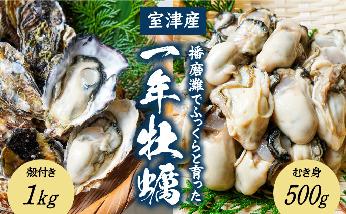 
            H-12【12月〜3月限定】 室津産むき身牡蠣500g＋殻付き1kg 
          