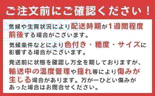 《 ご家庭用 》 サンふじ りんご 5kg 山形県産 (約10玉～20玉) 2024年産 令和6年産 【2024年11月下旬頃より順次発送予定】（フードロス対応・食品ロス・SDGs・生産者支援）　01