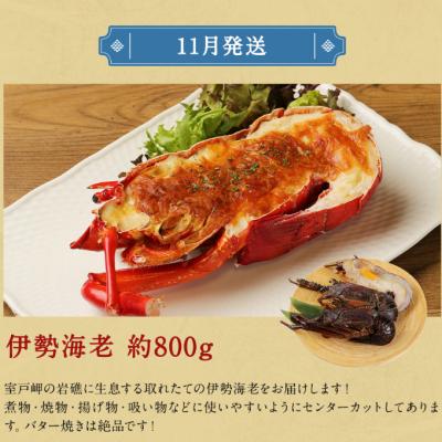 ふるさと納税 室戸市 室戸の海からの贈り物(年12回定期便) |  | 03
