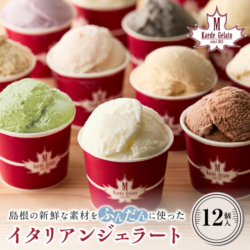 【ふるさと納税】ジェラートセット おやつ お菓子 デザート スイーツ アイス ジェラート 冷菓 ギフト 贈り物 ご褒美 ひんやりグルメ お取り寄せ 【003_0642】