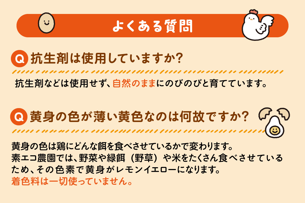 【12回定期便】平飼いで のびのび！ばあちゃんの昔たまご 40個/月 割れ保証あり 999-B612