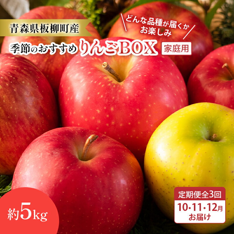 【ふるさと納税】【定期購入3回】【どんな品種が届くかお楽しみ】季節のおすすめりんごBOX/家庭用/詰め合わせ/10月・11月・12月/約5kg　青森県　りんご　リンゴ　林檎　フルーツ　くだもの　果物　お届け：2026年10月中旬～12月下旬まで