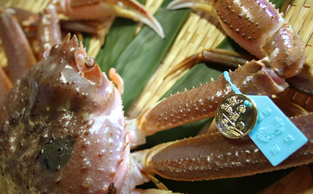 【納品日指定不可】すずし底曳網船団 特撰加能ガニ（1杯）　ボイル済み