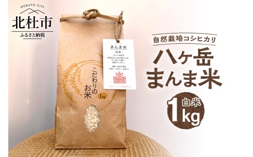 【令和7年度米】八ヶ岳　まんま米　白米1kg（手植え・手刈り・天日干しの自然栽培コシヒカリ）