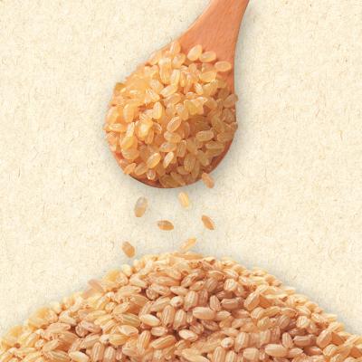 ふるさと納税 瀬戸内市 令和7年産 早炊 玄米  きぬむすめ 2kg×3袋 岡山県産 産地直送 [No.5735-1857] |  | 02