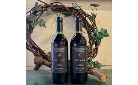 ヤマブドウ100％果汁「妖精たちの宴」2本セット ノンアルコール / ぶどう 岡山県 真庭市 【hwine003-02】