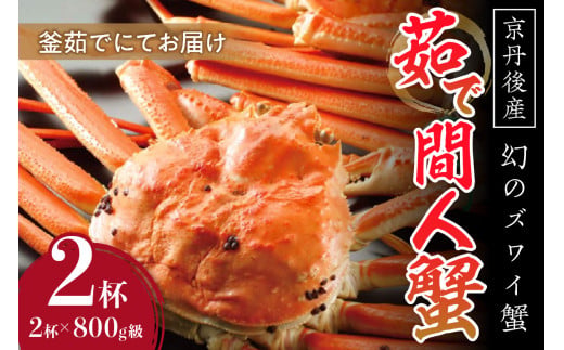 【幻のズワイ蟹】京丹後産 茹で間人蟹 鮮度抜群、釜茹でにてお届け！！ 800g級×2杯 　高級 国産 海産物 甲殻類 かに カニ ずわいがに 間人蟹 茹で ボイル ふるさと納税 海鮮 松葉蟹 松葉がに 松葉ガニ 間人がに 間人ガニ たいざがに YK00084