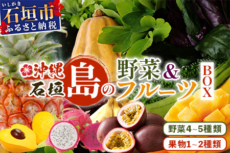 沖縄県 石垣島の野菜・フルーツBOX 1箱 ≪野菜4～5種類、フルーツ1~2種類≫ じょーとーまーさん(とても美味しい) 石垣島の野菜とフルーツの詰め合わせセットをお楽しみください！！｜沖縄 石垣島 直送 旬 果物 フルーツ 新鮮 島野菜 野菜セット 詰め合わせ CK-4