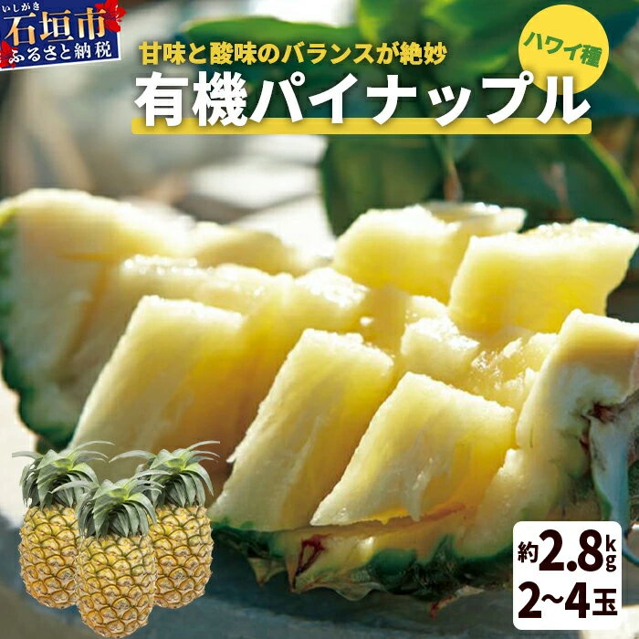 【ふるさと納税】＜先行予約＞ 石垣島産 有機パイナップル ハワイ種 2〜4玉 (約2.8kg)《7月上旬順次発送》| パイナップル パインアップル 石垣島パイン フルーツ 果物 くだもの 南国フルーツ 国産パイン E-39