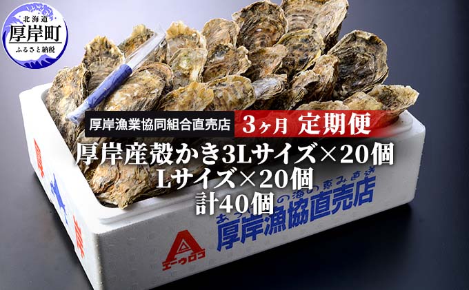 定期便 3ヶ月 北海道 厚岸産 牡蠣 3L 20個 と L 20個 ひと月あたり40個お届け (各回40個×3ヶ月分,合計120個) 殻付き 生食 かき カキ 生牡蠣 貝付き牡蠣 貝 海鮮 魚介類 