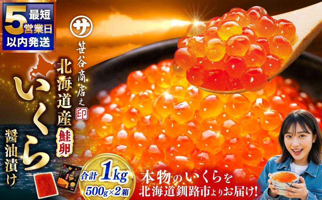 
                  北海道産 いくら 醤油漬け 500g × 2箱 合計1kg マルサ笹谷商店【5営業日以内発送】釧之助 イクラ ギフト 個包装 化粧箱 魚卵 醤油漬け 冷凍 海産物 魚介類 ご飯のお供 海鮮 海鮮丼 国産
                