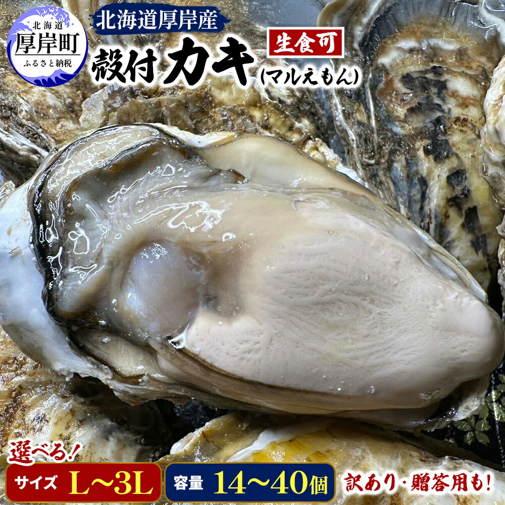 【ふるさと納税】カキ 生食用 殻付き 牡蠣 選べるサイズ・個数 牡蠣 訳あり350g～1kg、 正規品14個～40個 L～3L 北海道 厚岸産 【光輝】 [ 訳あり 魚貝類 生牡蠣 海鮮 海の幸 生食用牡蠣 生食用殻付き牡蠣 濃厚 甘み オイスター ]