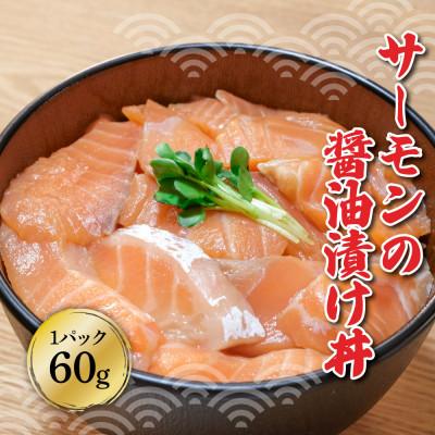 ふるさと納税 土佐市 土佐の海鮮漬け丼(サーモン・まぐろ)60g×各10袋セット　合計20袋 |  | 01