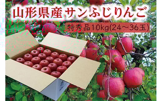 《先行予約 2025年度発送》【山形県産】サンふじりんご特秀品10kg  りんご リンゴ 林檎 デザート フルーツ 果物 くだもの 果実 食品 山形県 FSY-0403