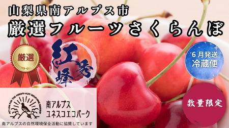 ＜2026年発送先行予約＞ 山梨県南アルプス市産 厳選さくらんぼ (紅秀峰) 500g ALPEM004