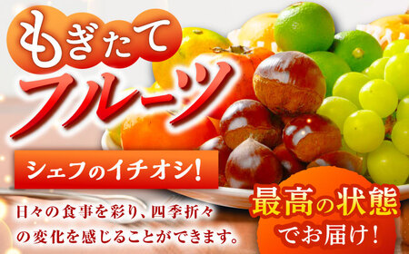 野菜+果物 詰め合わせ（13-17種）果物 フルーツ[AGBX006]