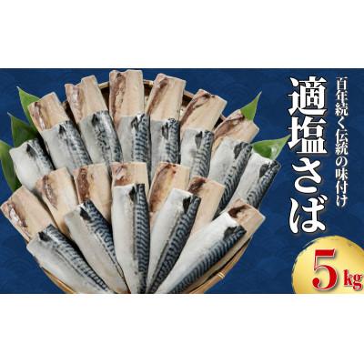 ふるさと納税 銚子市 適塩さば　5kg