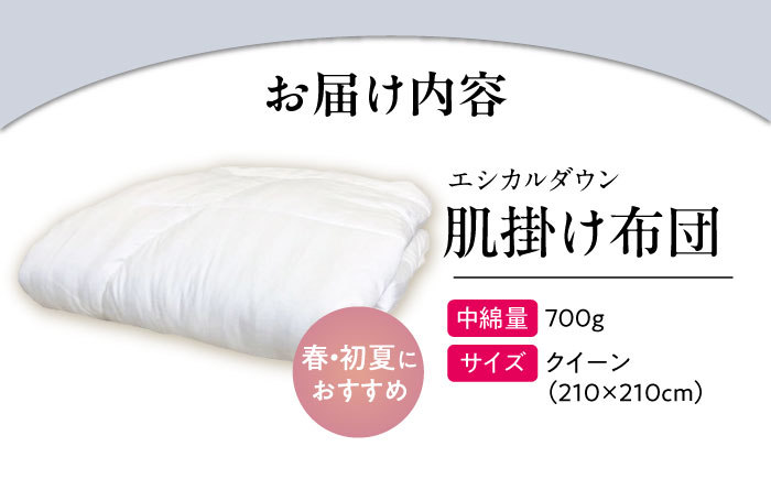 洗える 人工羽毛布団 肌掛け布団 クイーン エントリーモデル 広島県福山市/イシケン株式会社 布団 掛け布団 掛けふとん 日本製 掛布団 薄手 軽い 春 夏 寝具 アレルギー対策 [BAAK016]