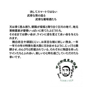 東晨洋酒 マスカットベーリーA＆ヤマソービニヨン 無添加ワイン【1706045】