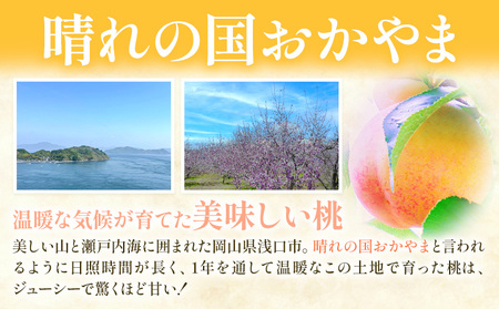 【2026年発送】浅口市産 白桃 約2kg(7～9玉) SUEHIRO農園《2026年6月下旬-8月下旬頃出荷》