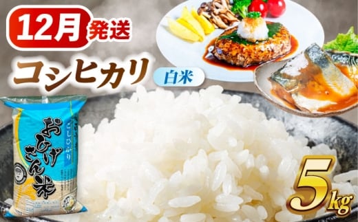【12月発送】コシヒカリ 白米 5kg 愛西市 / 脇野コンバイン 米 お米 コメ [AECP021-4]