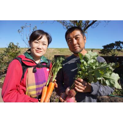 ふるさと納税 下妻市 【毎月定期便】お楽しみ★農園自慢の情熱野菜セット7袋　フードロス対策　訳あり　規格外全2回 |  | 03