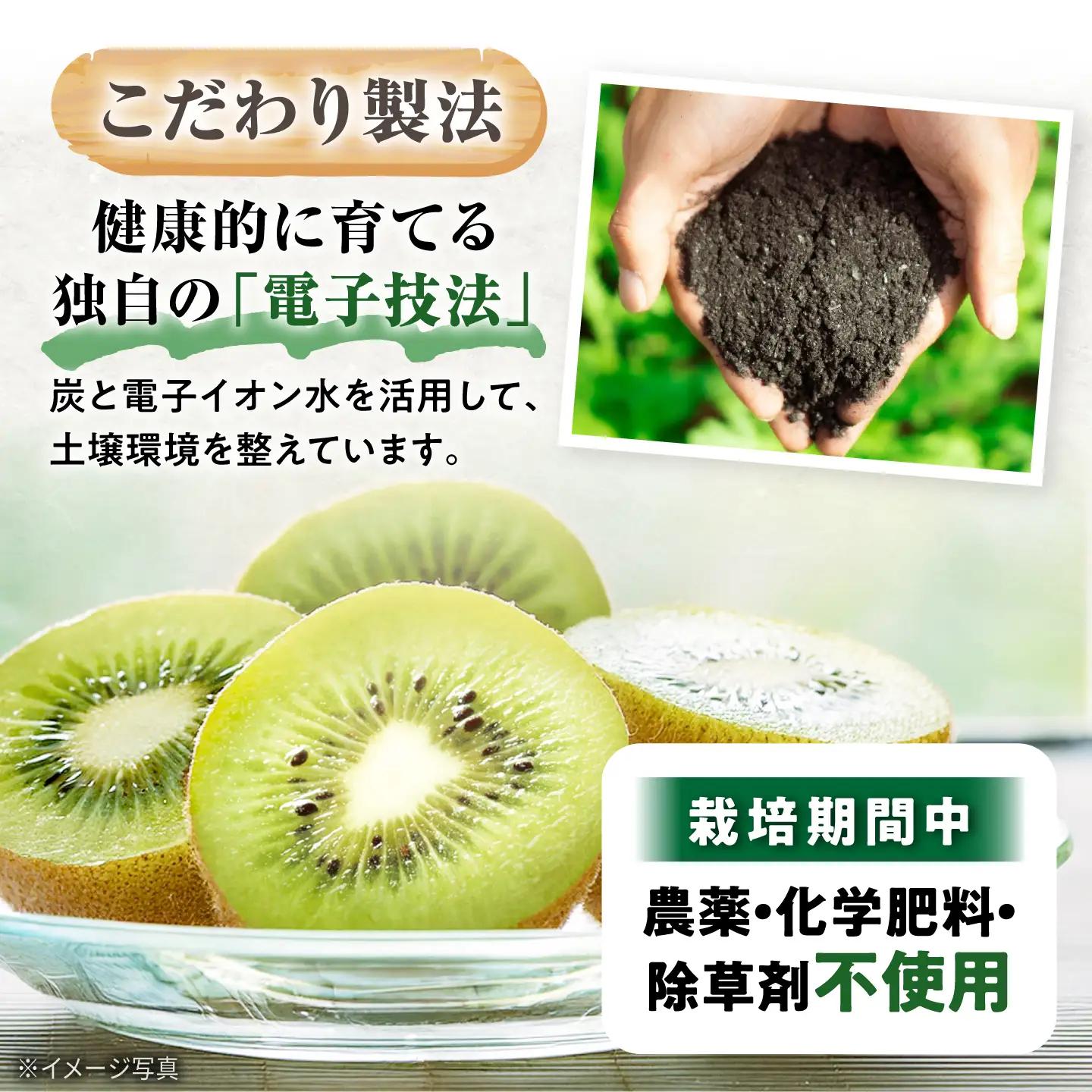 キウイ 訳あり キウイフルーツ ヘイワード サイズ不揃い 約5kg 50個前後 / フルーツ 果物 キウイフルーツ キウイ キューイ キゥイ キュウイ 甘い 先行予約 5kg 愛媛 / 愛媛県砥部町/