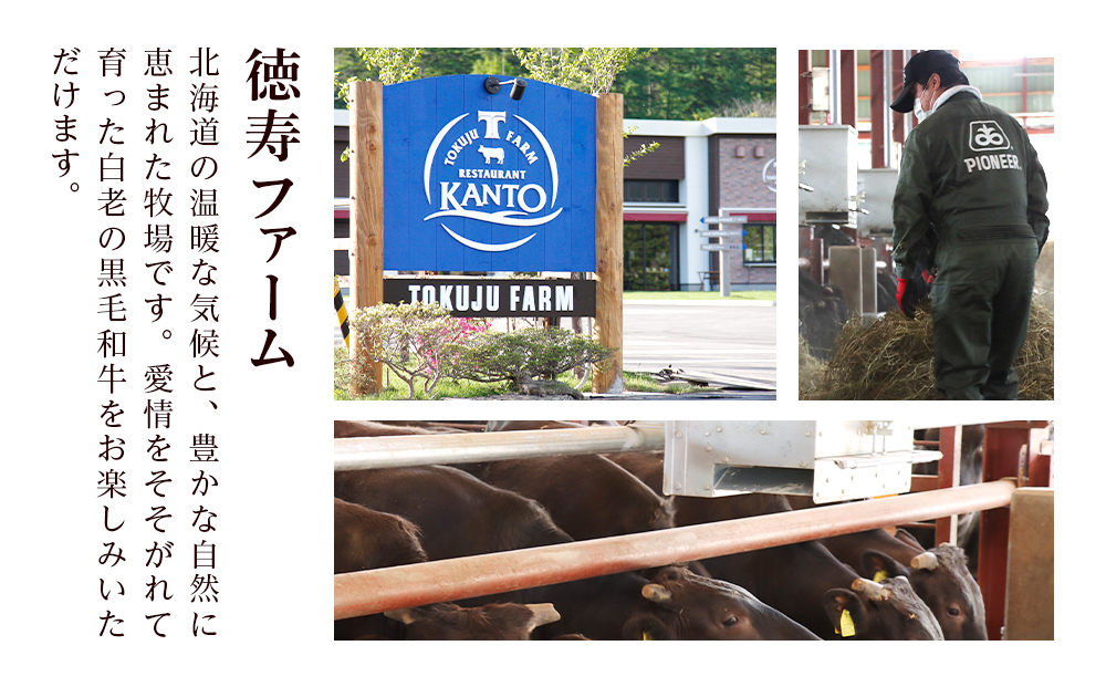 白老牛 焼肉 霜降り カルビ＆モモ セット 合計1.6kg（各800ｇ）特製焼肉のたれ付き 和牛 牛肉 北海道 ギフト ＜徳寿＞