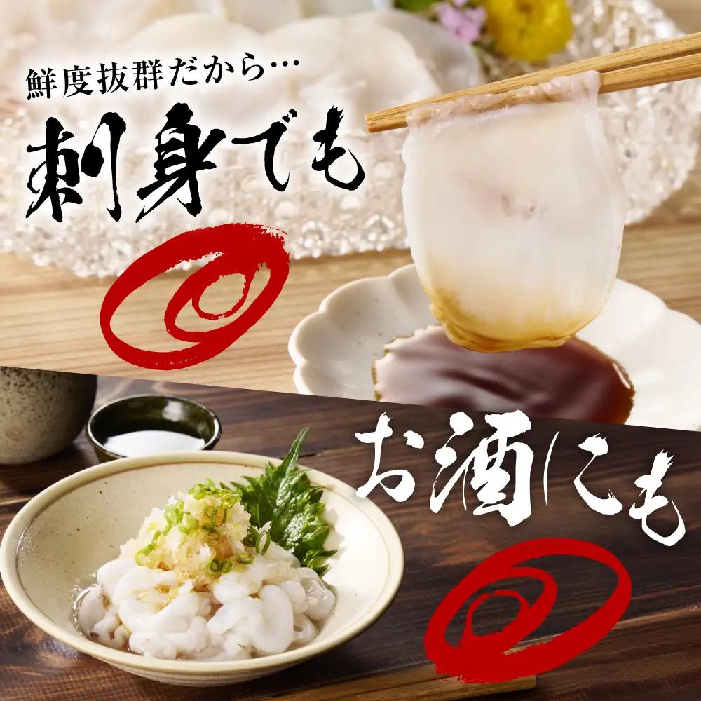 生タコ たこ しゃぶ（1kg）