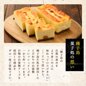 n145 自家製チーズ使用 生粋チーズケーキ(2本入・計500g)国産 種子島 種子島生乳 クリームチーズ お菓子 スイーツ デザート ケーキ 洋菓子 お茶菓子 お茶うけ おやつ おかし 厳選素材【菓