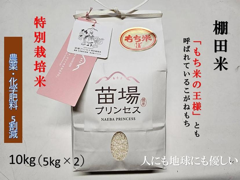 【令和8年産先行予約】魚沼産こがねもち 精米10kg（5kg×2）特別栽培米 農薬化学肥料5割減127523-106