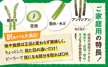 【先行受付】ご家庭用アスパラガス「さぬきのめざめ」(セミロング)夏芽 サイズ混合 約1kg | 野菜 アスパラ アスパラガス さぬきのめざめ 家庭用 夏 冷蔵 新鮮 香川県 三木町 セミロング おすす