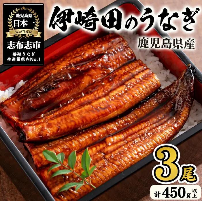 【数量限定】鹿児島県産 伊崎田のうなぎ蒲焼 中＜150g以上＞× 3尾(計450g以上) 鰻 うなぎ ウナギ 蒲焼き 3尾 国産 九州産 鹿児島県産 冷凍 おつまみ 鰻重 うな丼 b1-020