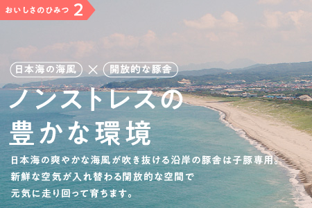 まる姫ポーク 無添加 生ソーセージ セット 計780g (無添加生ソーセージ・無添加生ソーセージ（季節のサンピコ野菜） おまかせ AK-5 国産 豚ソーセージ ウインナー  野菜 無添加