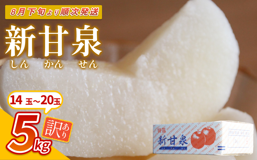 【先行予約】（訳あり）中野農園 梨 ”新甘泉” 5kg箱｜鳥取 岩美 梨 なし ナシ 赤梨 果物 フルーツ 常温 ※お届けは2026年8月下旬以降【41022】