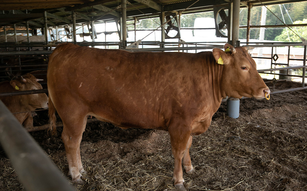 阿蘇 あか牛 ハンバーグ 2個 あか牛肉100％使用 牛肉 牛 惣菜 冷凍 熊本県産