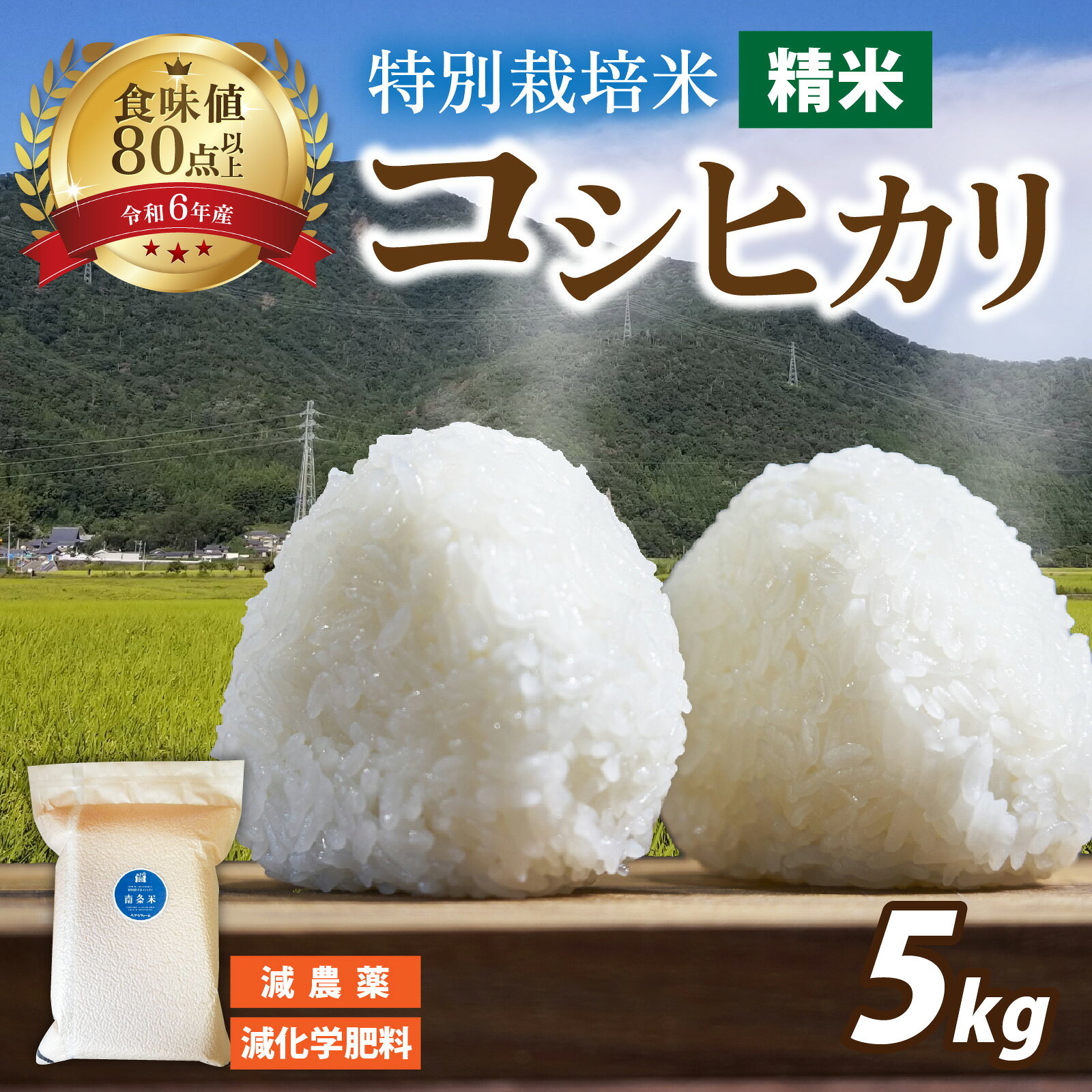 【ふるさと納税】【令和7年産】南条米 特別栽培米コシヒカリ 真空パック 精米5kg / コシヒカリ こしひかり 小分け 精米 白米 お米 こめ コメ 送料無料