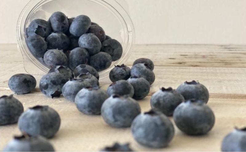 【栽培期間中農薬不使用】フレッシュブルーベリー　(ユーリカ大粒100g×4）