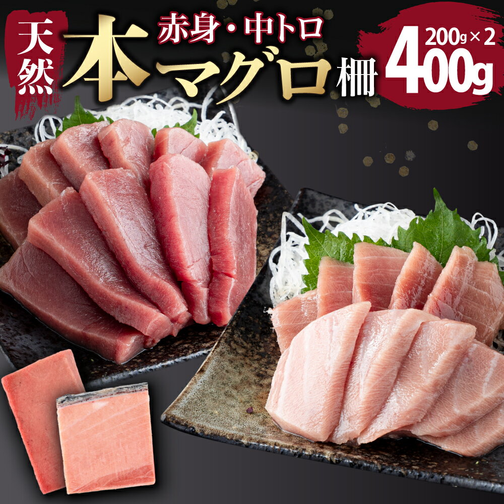 【ふるさと納税】まぐろの王様！ 天然本まぐろ 味わいセット 400g サク 柵 スライス 切落し セット 天然 天然まぐろ 天然マグロ まぐろ 中トロ 赤身 鮪 刺身 お刺身 食べ比べ 高知 室戸 冷凍 小分け 便利 tk074