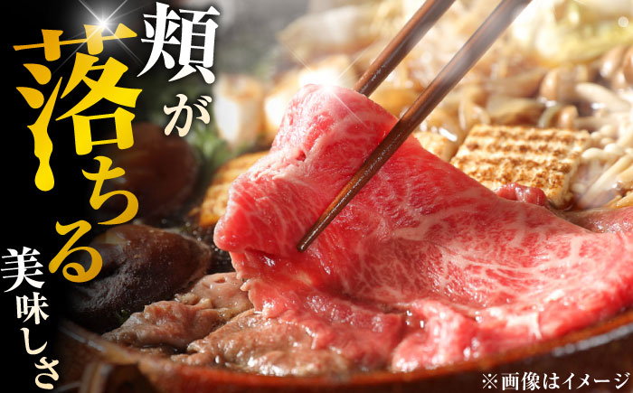 艶さし！佐賀牛 しゃぶしゃぶ・すき焼き用 （肩ロース・肩バラ・モモのいずれか1部位） 500g 吉野ヶ里町 [FDB015]
