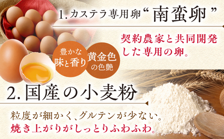【全6回定期便】 カステラ 5切×3種 （ プレーン /  抹茶 /  チョコレート ） カット包装 《長与町》《文明堂総本店》 [EAK007] / カステラ 文明堂 カステラ カット済み ザラメ 
