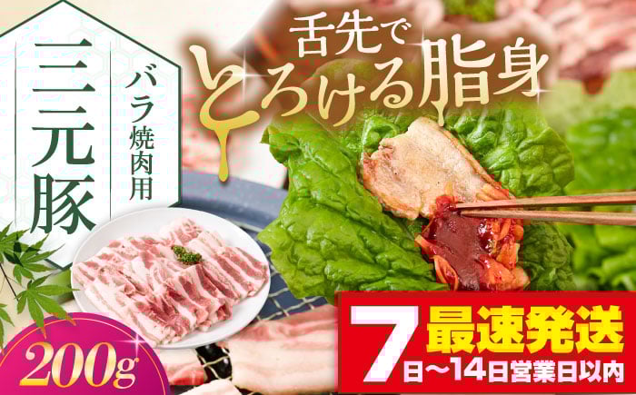 
             平田牧場 バラ 焼肉用 200g 《喜茂別町》【平田牧場】 肉 豚肉 豚バラ バラ カルビ 焼肉 スライス 冷凍 冷凍配送 北海道 三元豚  [AJAP133] 8000 8000円 8千円
          