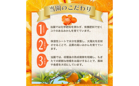 【2026年1月発送予約分】＼光センサー選別／農家直送 こだわりの有田みかん 約2kg【ご家庭用】みかん ミカン 有田みかん 温州みかん 柑橘 有田 和歌山 ※北海道・沖縄・離島配送不可【nuk159